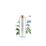 گلدان آپارتمانی پتوس - Image 5