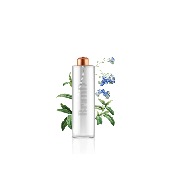 گلدان آپارتمانی پتوس - Image 5