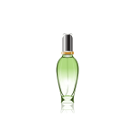 گلدان آپارتمانی پتوس - Image 4