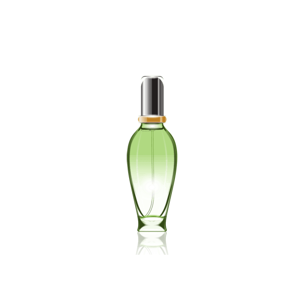 گلدان آپارتمانی پتوس - Image 4